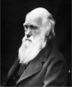 Darwin a-t-il connu une conversion de la dernière heure ?