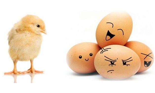 Qui est apparu en premier : l’œuf ou la poule ? Et bien c’est l’œuf !