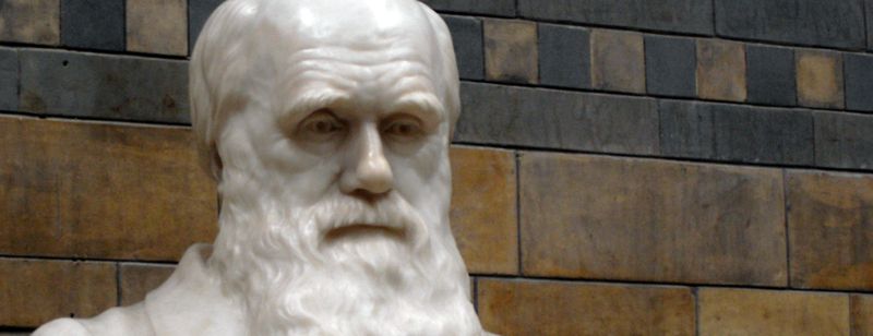 Darwin est-il le père légitime de l’athéisme moderne?