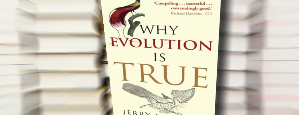 « Je trouve vos explications à propos de l’évolution très convaincantes- mais je n’y crois toujours pas. »
