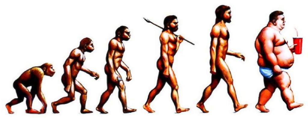 Article du magazine Nature: »La théorie de l’évolution a-t-elle besoin d’être élargie? »