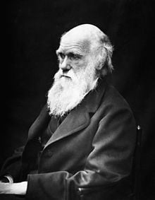 Figure 3. Photographie de Charles Darwin prise en 1869.