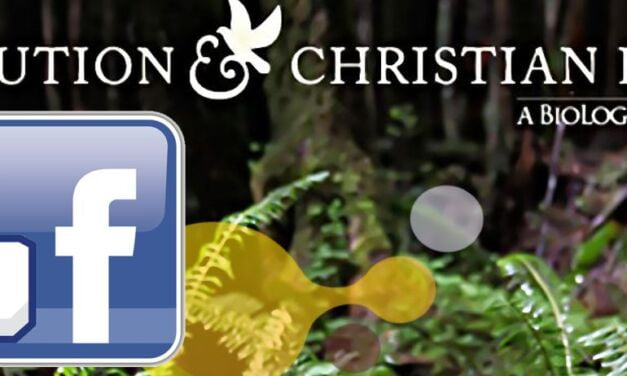 Suivez le programme « Evolution et foi chrétienne » sur Face Book