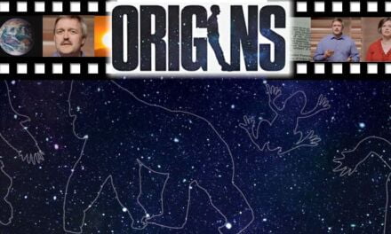 Vidéo « Origines » (5/6): l’évolution
