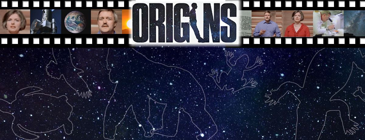 Vidéo « Origines » (5/6): l’évolution