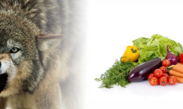 La volonté de Dieu était-elle que nous soyons tous végétariens ?