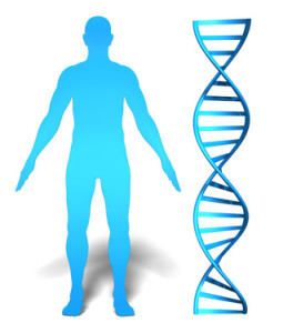 Human gene research and genetic analysis concept with DNA spiral