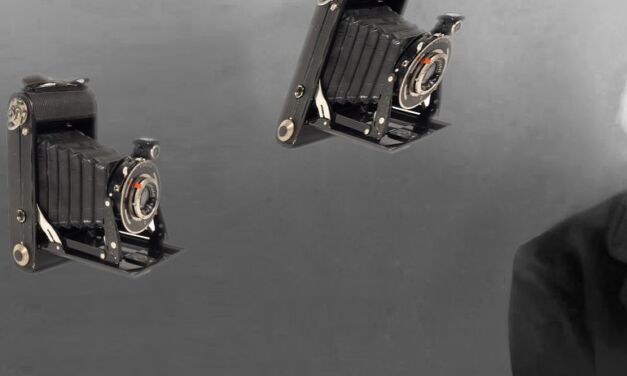 Deux portraits de Darwin