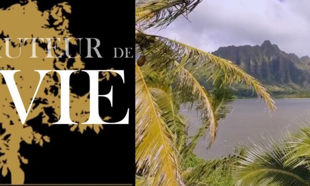 Vidéo jeunesse (2/7) : L’histoire de la création