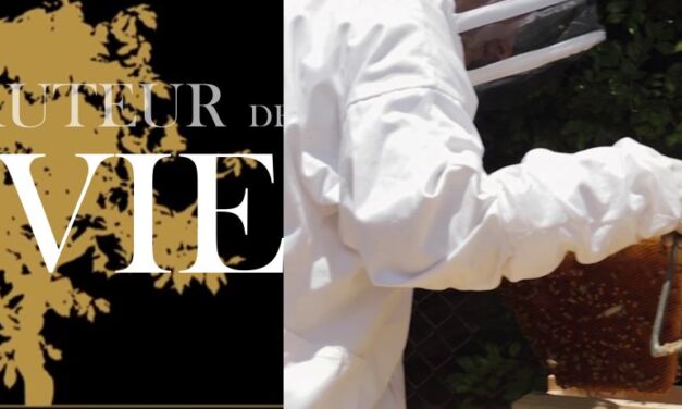 Vidéo jeunesse (7/7) : Prendre soin de la création