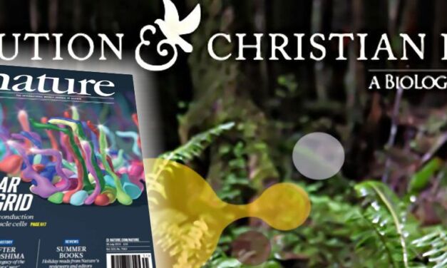 Le programme « Evolution et foi chrétienne » salué dans le dernier numéro de la revue Nature