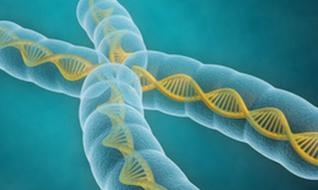 Crispr, la technique de modification des gènes, élue découverte de l’année par Science