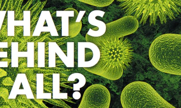 Regardez D. Lamoureux en direct de l’université de Toronto : « Dieu, la science et l’univers »