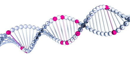 Manipuler le génome, c’est possible aujourd’hui (CRISPR)