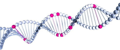 Manipuler le génome, c’est possible aujourd’hui (CRISPR)