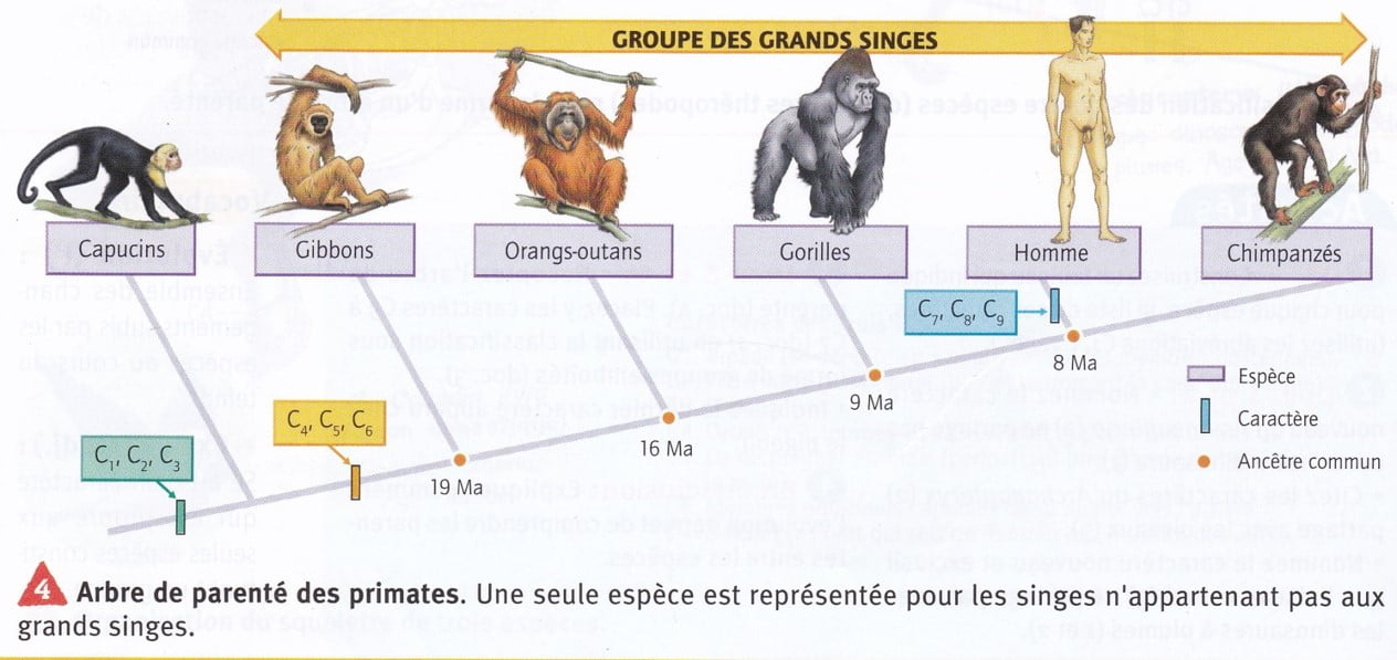 Cours volution 3 me Les Espaces Productifs Et Leurs volutions PFPLCP Cours volution 3 me Les Espaces Productifs Et Leurs volutions PFPLCP