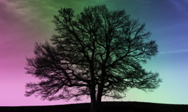 Quand Genèse révèle la grâce