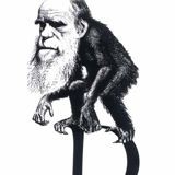 Dieu versus Darwin