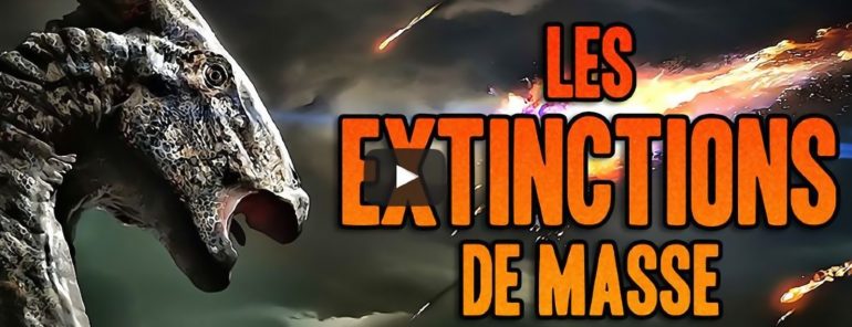 Les 5 Extinctions De Masse, Vers Une 6ème ? (vidéo 4 Minutes) - Science ...