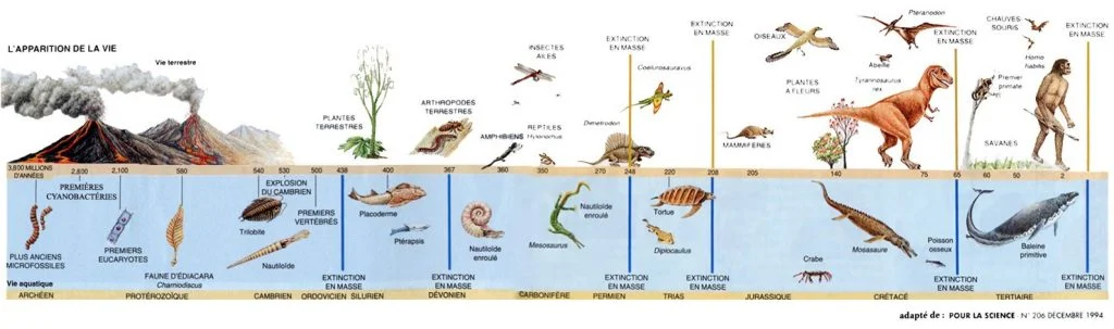 SVT3-periodes_geologiques-2