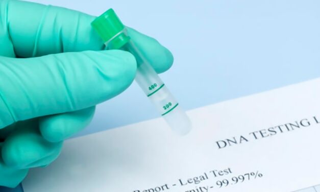 Test ADN : Les tests ADN sur l’origine ethnique sont-ils fiables ?