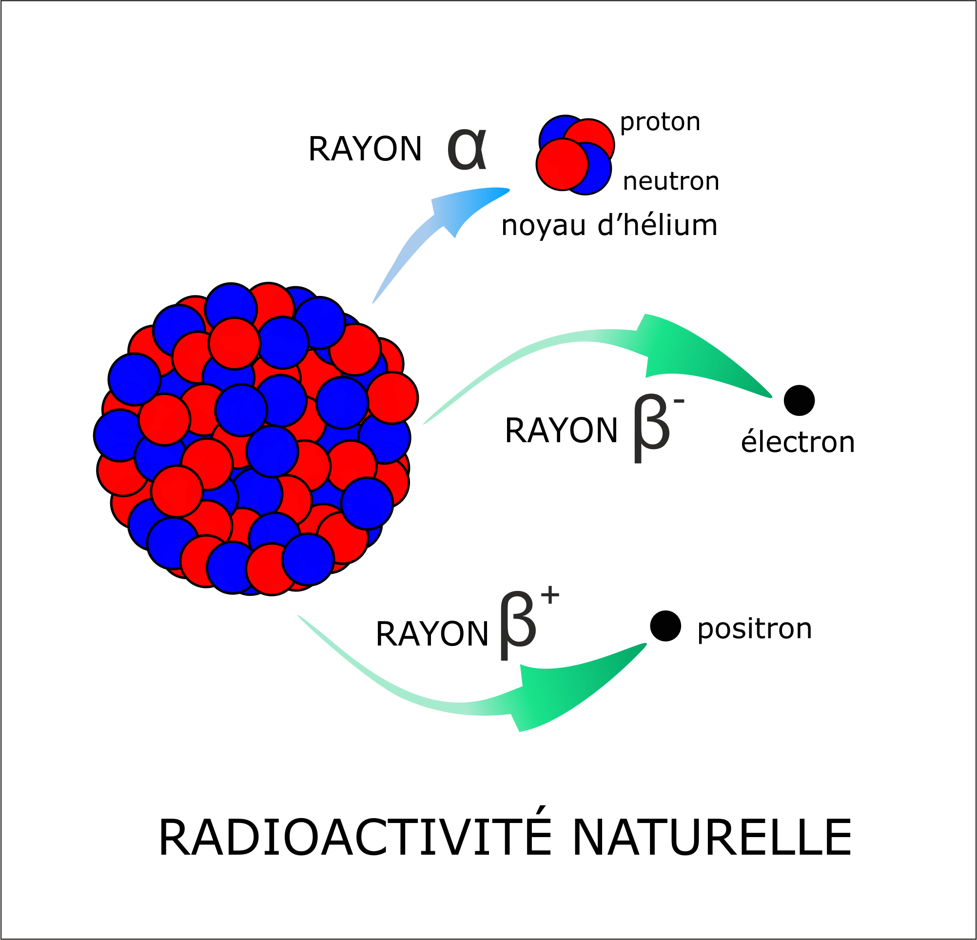 La datation  radiom trique ex Carbone  14  est elle fiable 