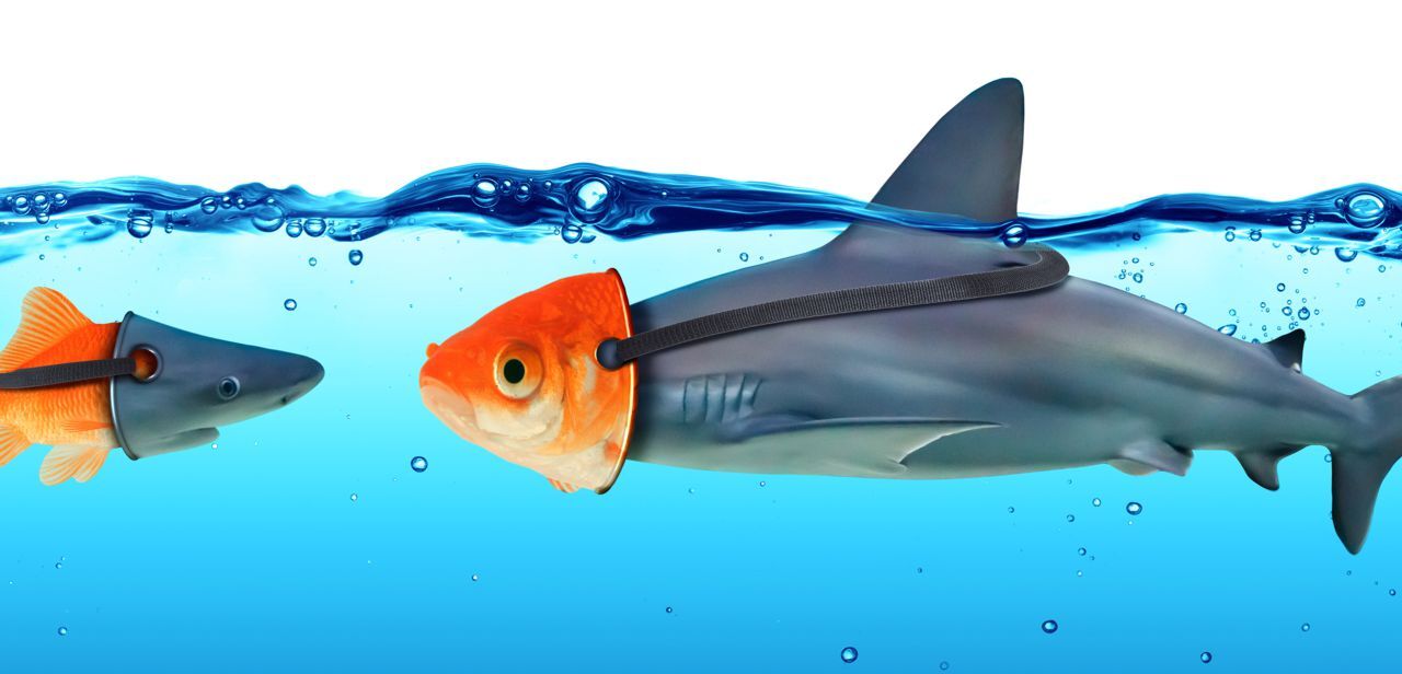 Petite lecture philosophique : Ricoeur, « Vérité et mensonge »