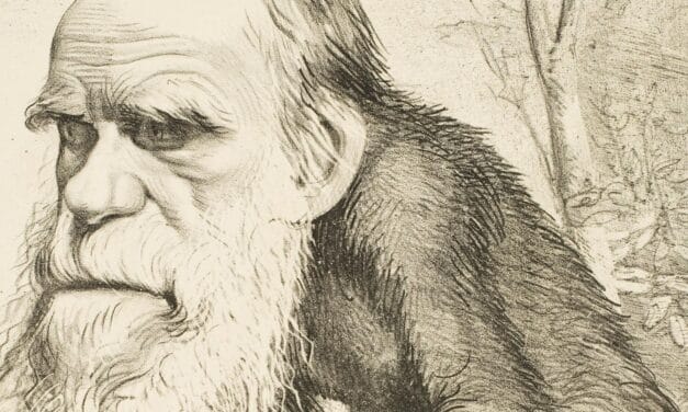 Le procès du singe : Leçons pour les Milieux Scientifiques et Religieux