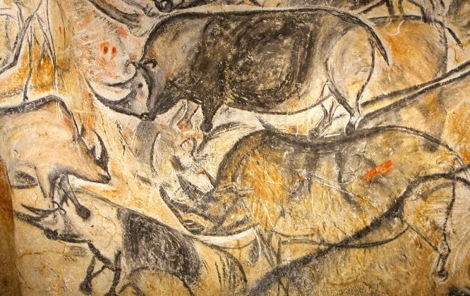 peinture rupestre Grotte Chauvet - Rhinoceros