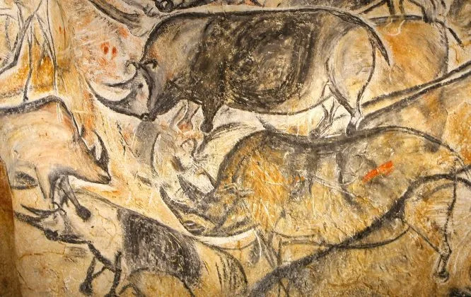 Peinture Chauvet peinture rupestre Grotte Chauvet - Rhinoceros